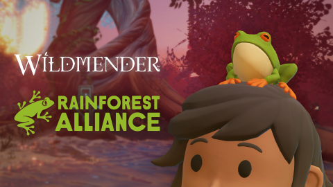 Wildmender-and-Rainforest-Alliance